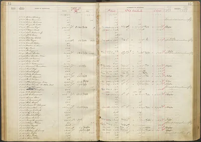 p. 19