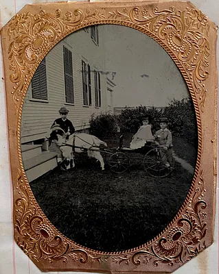 Three young children in cart pulled by goat; probably Simpkins family, Yarmouth Port, Mass.