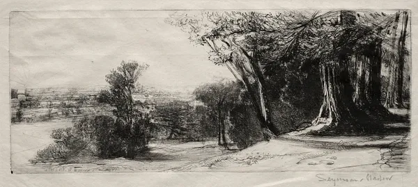Early Morning, Richmond Park