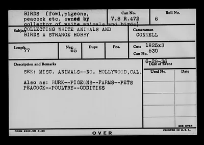 p. 23