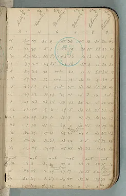 p. 5