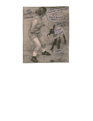 p. 5