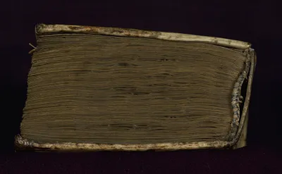 p. 7