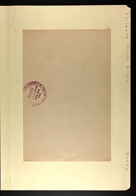 p. 17