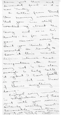 p. 3