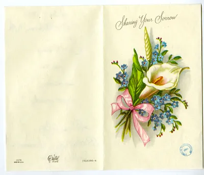 p. 35