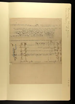 p. 31