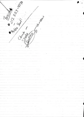 p. 45
