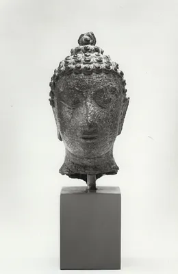 Head of the Buddha