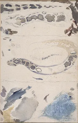 Studies of a Snake's Skin