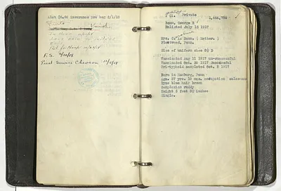 p. 6