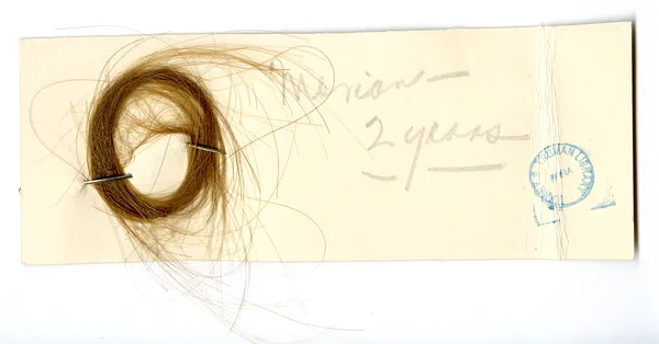 Lock of Hair from Marian Wallace