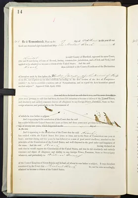 p. 17