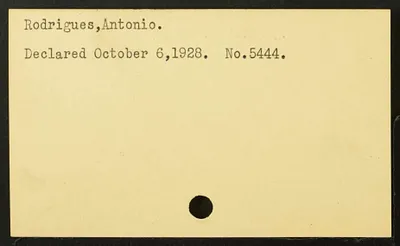 p. 31