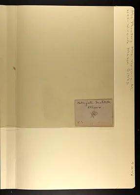 p. 10