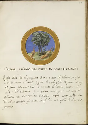 Leaf from Emblem Book