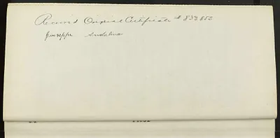 p. 7