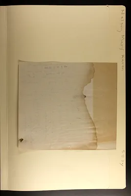 p. 29