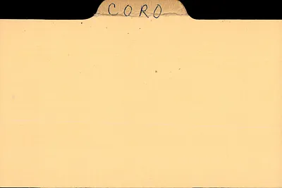 p. 49