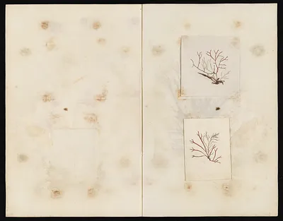 p. 21
