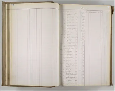 p. 51
