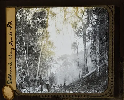 Photograph of Soldiers Building Roads, Philippine Islands