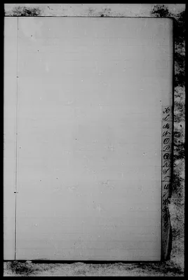 p. 51