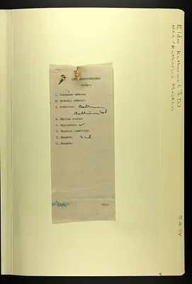 p. 10