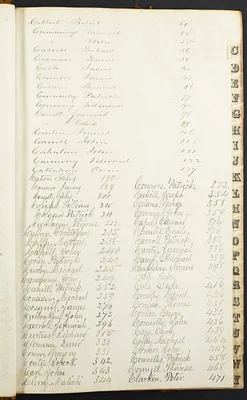 p. 4
