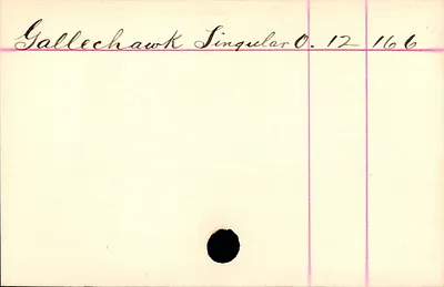 p. 33