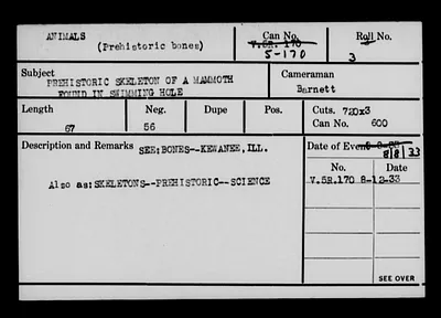 p. 19