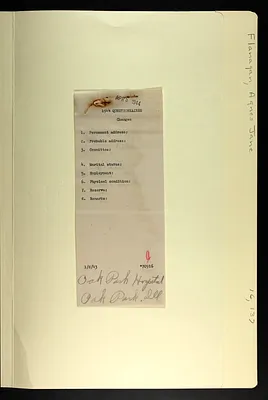 p. 23