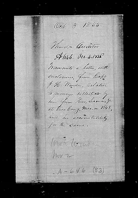 p. 8