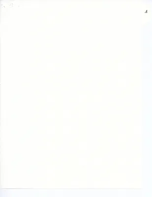 p. 4