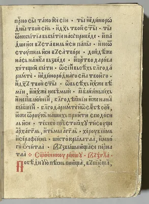 p. 49
