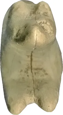 p. 2