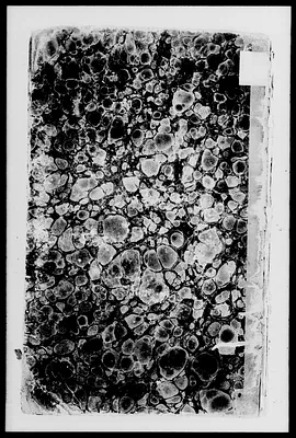 p. 20