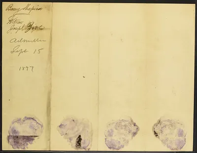 p. 2