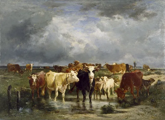 The Approach of a Storm
