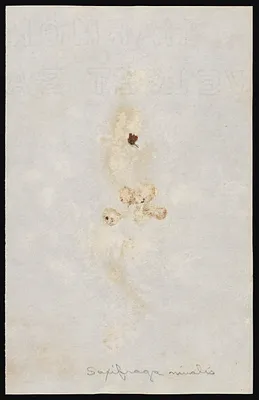 p. 8