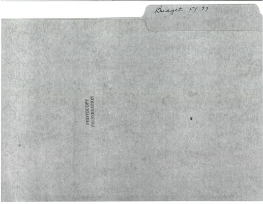 Budget FY 1999