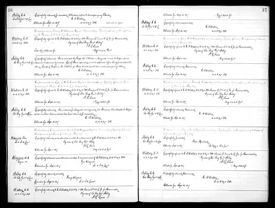 p. 44