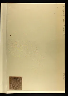 p. 6