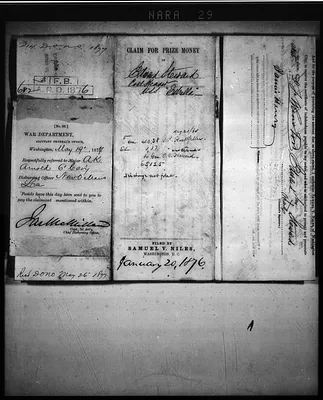 p. 29