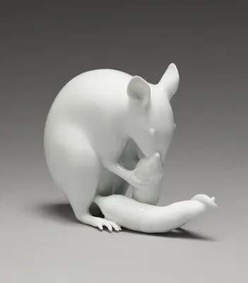 Rat Eating a Daikon