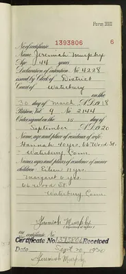 p. 8