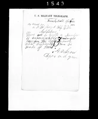 p. 53