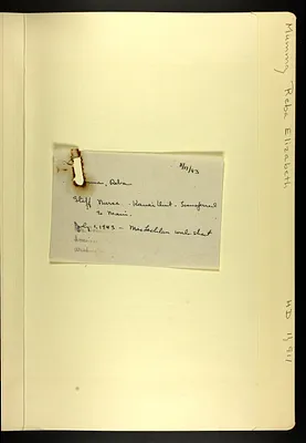p. 27