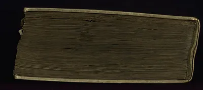 p. 6