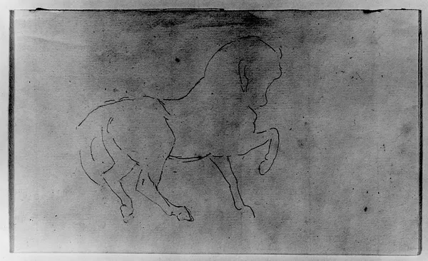 Outline Sketch of a Horse
